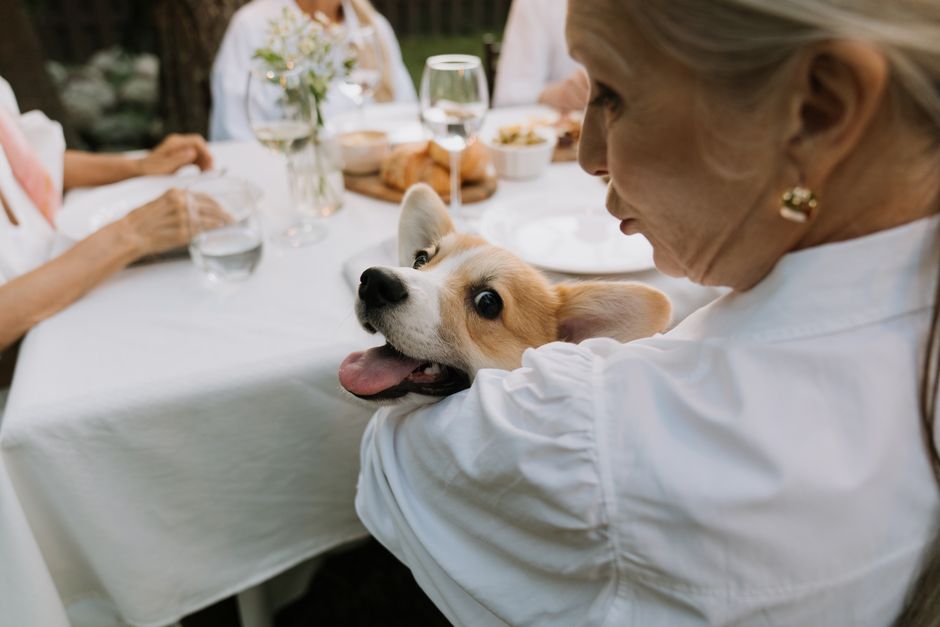 Traditions Wealth and Legacy Planning
